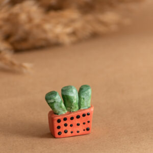 Clay Miniature Succulent Gang 5