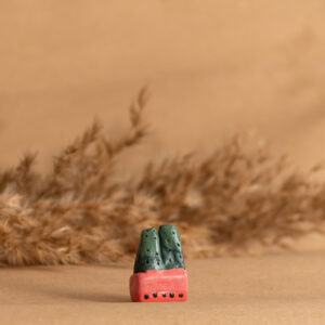 Clay Miniature Succulent Gang 10