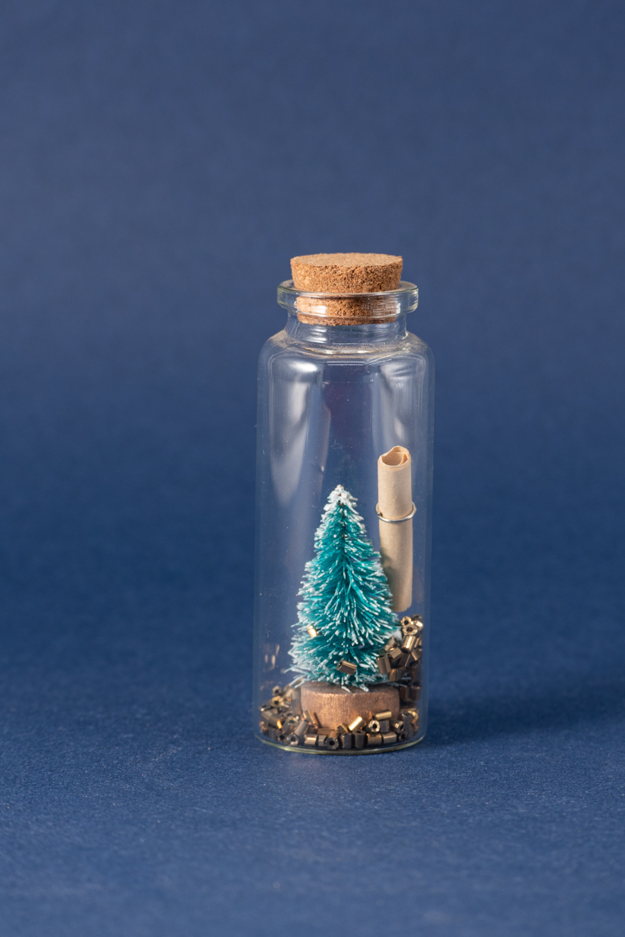 Wish Bottle “Make a christmas wish”